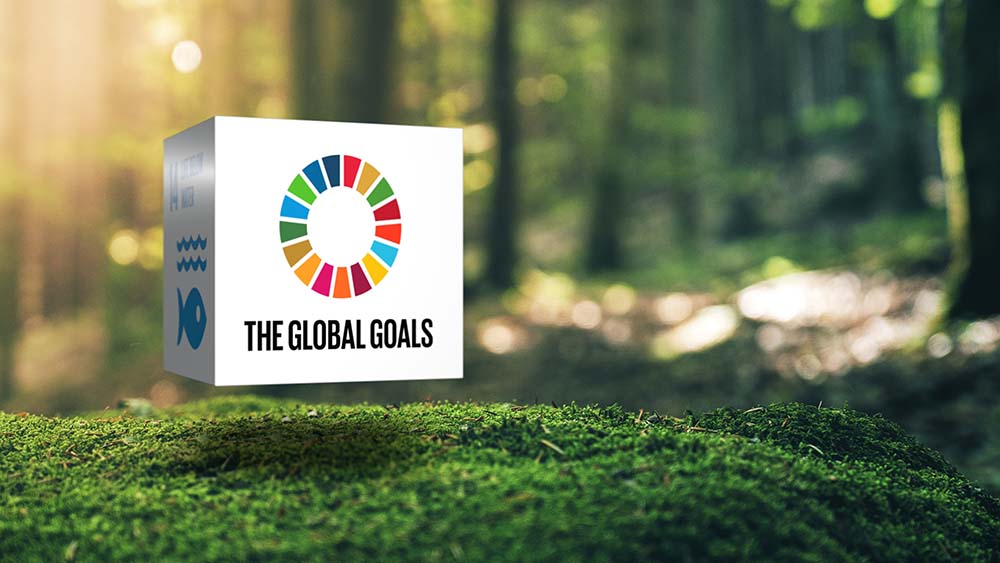Bilde av bærekraftsmålene til FN